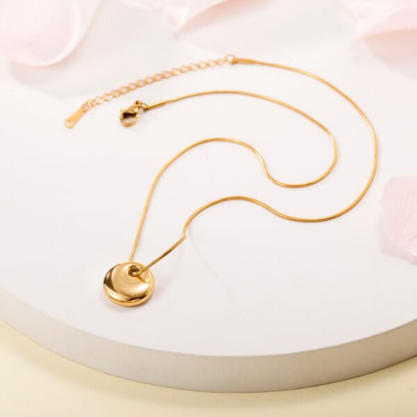 Spot cross-border hot selling whole body stainless steel snake bone chain 18K gold plated simple circular necklace titanium steel - Image 3